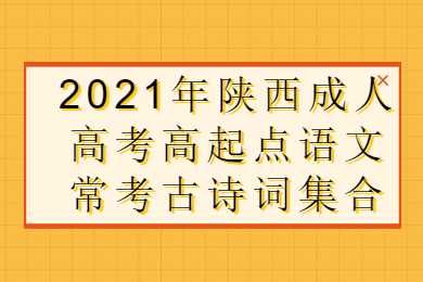 陕西成人高考