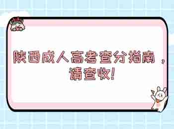 陕西成人高考查分指南，请查收!