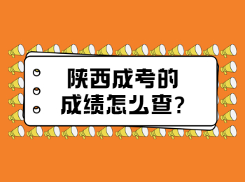 陕西成考的成绩怎么查?