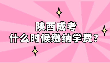 陕西成考学费
