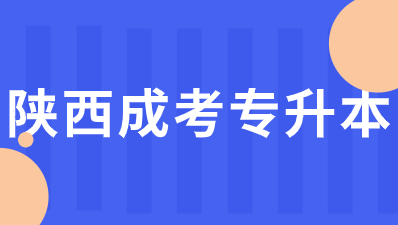 2024年陕西成人高考考试层次有那些？