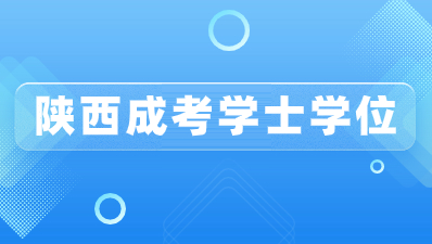 陕西成人高考学士学位可以补考吗？