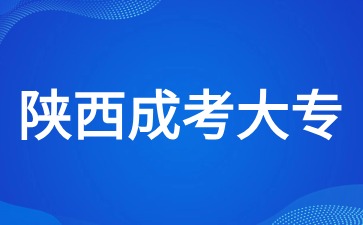 陕西成考大专有学士学位证书吗？