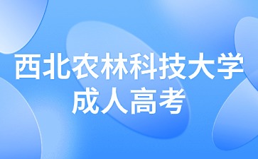 西北农林科技大学成人高考学历能考编吗？