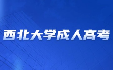 2024年西北大学成考学位英语怎么复习