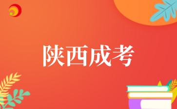 2025年西北大学成考专业介绍